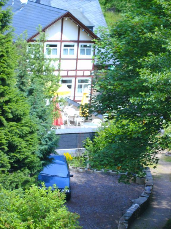 Pension & Apartments Linkemuehle Niederfell Ngoại thất bức ảnh